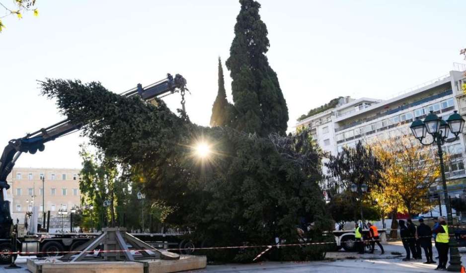 Μύρισαν Χριστούγεννα στην Αθήνα - Στήθηκε το χριστουγεννιάτικο δέντρο στο Σύνταγμα