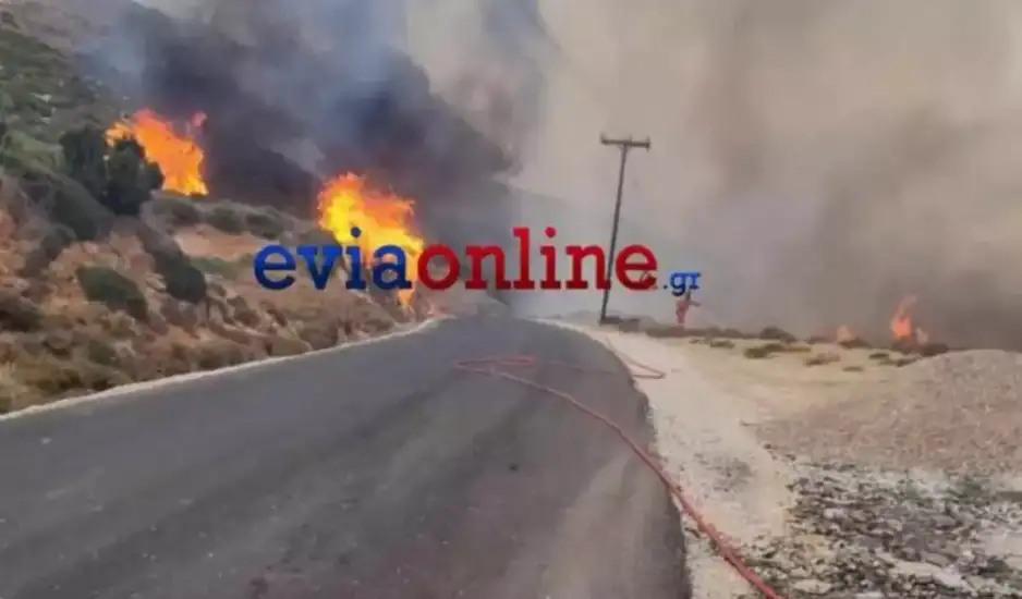 Φωτιά στην Εύβοια - Αντιπεριφερειαρχης: Η κατάσταση είναι ανεξέλεγκτη - Εκκενώθηκαν χωριά – Στις παραλίες ο κόσμος