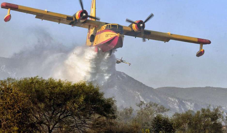 Ηλεία: Υπό έλεγχο η πυρκαγιά σε δασική έκταση στην περιοχή Πλάτανος