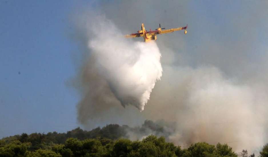 Φωτιές: Στάχτη μισό εκατομμύριο στρέμματα στη χώρα – Βαρύς ο απολογισμός