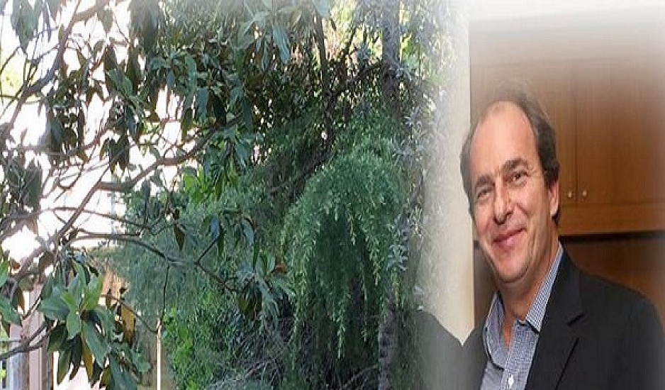 Συλλήψεις για την δολοφονία του επιχειρηματία Αλέξανδρου Σταματιάδη