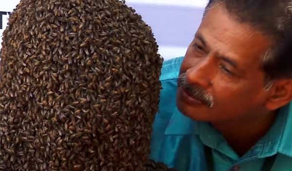 Ο άνθρωπος μέλισσα: Φόρεσε 60.000 μέλισσες και έσπασε το ρεκόρ