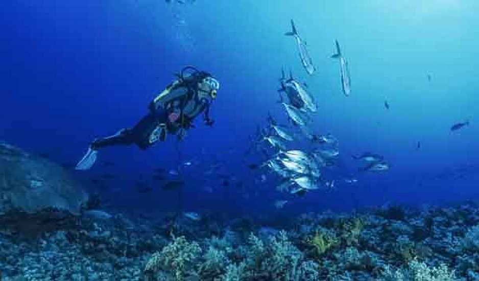 WWF: Η Μεσόγειος υπερθερμαίνεται κάθε χρόνο και η στάθμη της θάλασσας ανεβαίνει