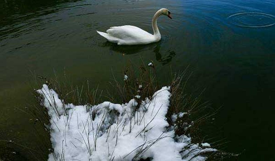 Πάρνηθα: Στα λευκά η λίμνη Μπελέτσι