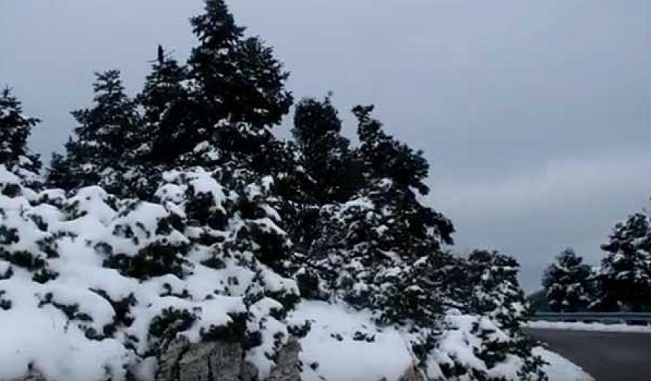 Απόλαυσαν το χιόνι στην Πάρνηθα και το Καρπενήσι