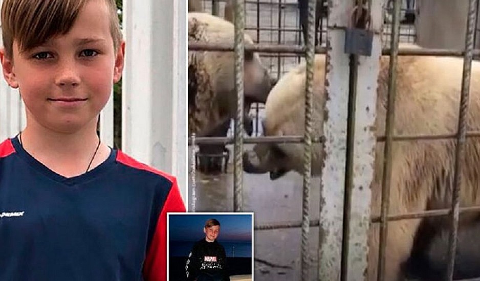 Τραγωδία σε ζωολογικό κήπο - Αρκούδες κατασπάραξαν 11χρονο