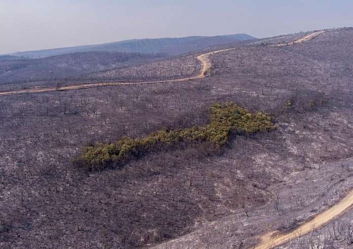 Χωρίς ενεργά μέτωπα η φωτιά στον Έβρο - Στάχτη 935.000 στρέμματα