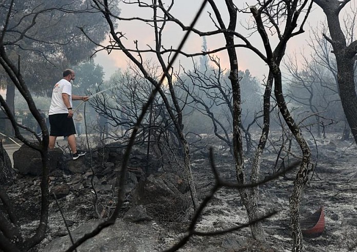 Λέκκας για φωτιές: Φοβάμαι πως το περιβαλλοντικό σύστημα της Αττικής θα καταρρεύσει