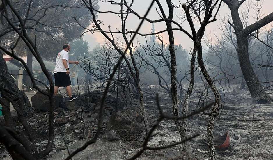 Λέκκας για φωτιές: Φοβάμαι πως το περιβαλλοντικό σύστημα της Αττικής θα καταρρεύσει
