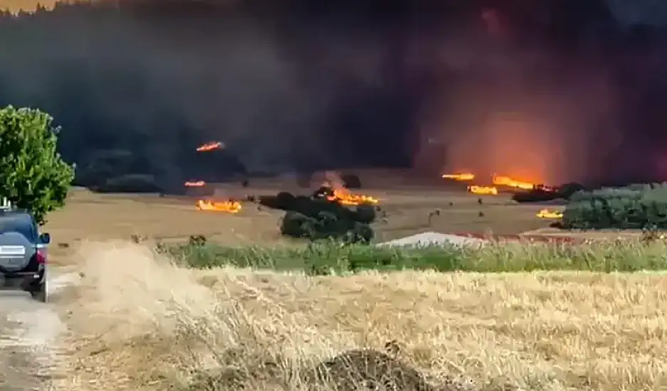Αλεξανδρούπολη: Ανεξέλεγκτη η φωτιά σε 3 μέτωπα - Εκκενώνονται οικισμοί, κλειστή η Εγνατία Οδός