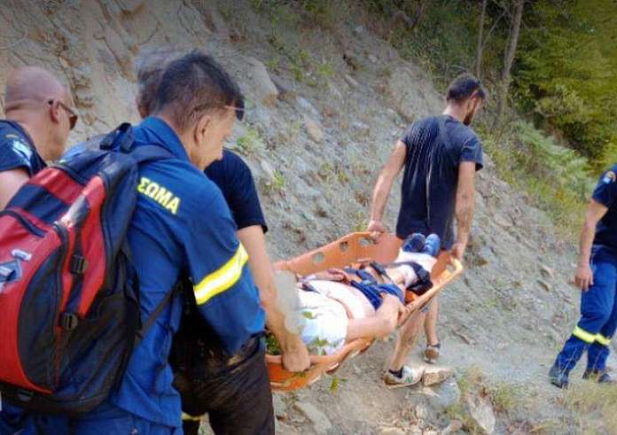 Άρτα: Αρκούδα επιτέθηκε και τραυμάτισε άνδρα – Μεταφέρθηκε στο νοσοκομείο