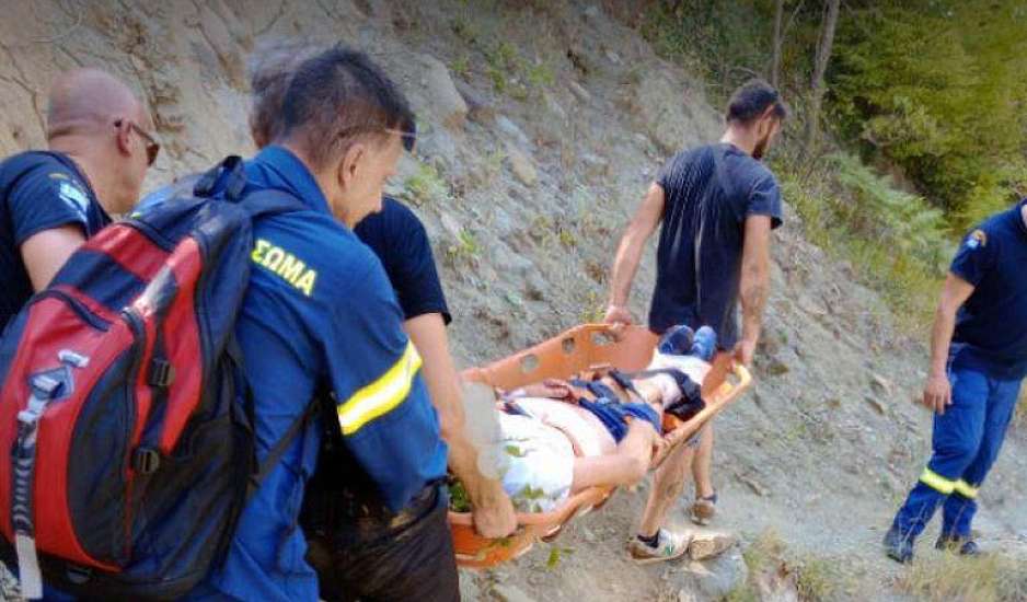 Άρτα: Αρκούδα επιτέθηκε και τραυμάτισε άνδρα – Μεταφέρθηκε στο νοσοκομείο