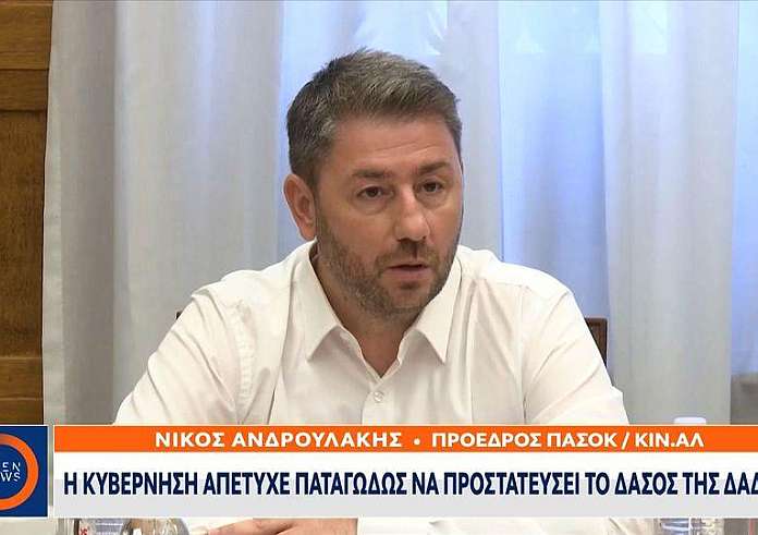 Ανδρουλάκης: Η κυβέρνηση απέτυχε να προστατεύσει το κόσμημα της βιοποικιλότητας της χώρας, το δάσος της Δαδιάς