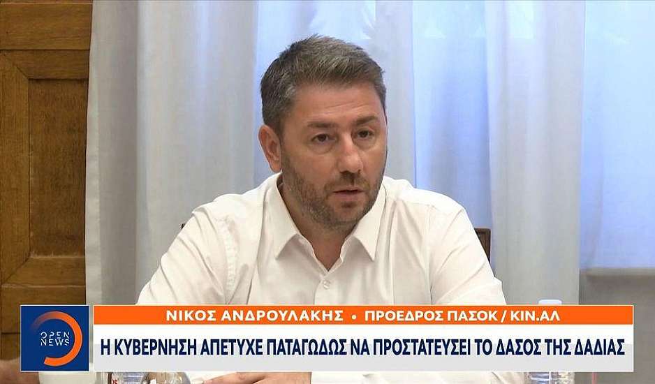 Ανδρουλάκης: Η κυβέρνηση απέτυχε να προστατεύσει το κόσμημα της βιοποικιλότητας της χώρας, το δάσος της Δαδιάς