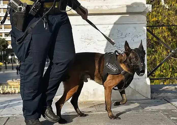Ξεσπά ο αδερφός του αστυνομικού που αυτοκτόνησε: Αυτός τον οδήγησε στον θάνατο