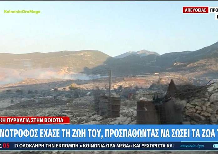 Φωτιά στη Βοιωτία: Δύσκολη η κατάσταση λόγω των ισχυρών ανέμων - Νέα εστία και στην Υλίκη