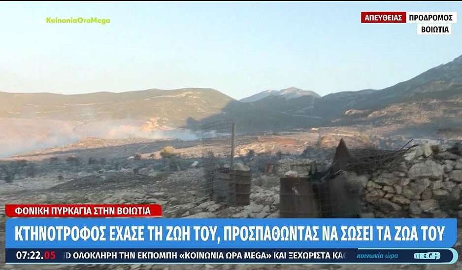 Φωτιά στη Βοιωτία: Ολονυχτία μάχη με τις αναζωπυρώσεις – Ένας νεκρός κτηνοτρόφος