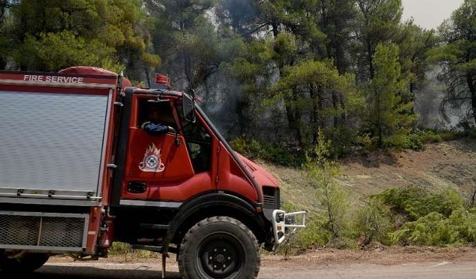 Καστοριά: Φωτιά σε δασική έκταση έχει λάβει ανησυχητικές διαστάσεις