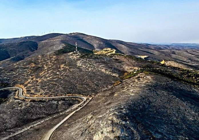 Φωτιά στον Έβρο: Ανεξέλεγκτο το πύρινο μέτωπο για 12η μέρα – «Μάχη» με τις αναζωπυρώσεις