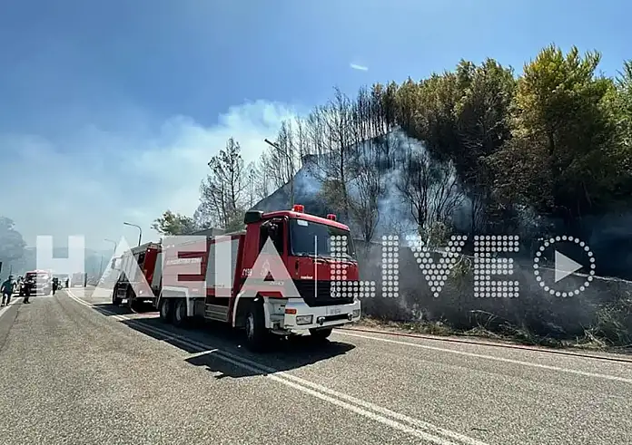 Φωτιά στην Ηλεία: Προσαγωγή υπόπτου για απόπειρα εμπρησμού στην Αρχαία Ολυμπία – Συνεχίζεται η μάχη με τις φλόγες