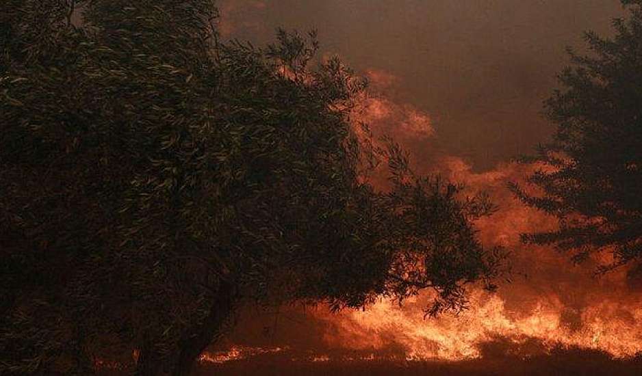 Φωτιά στην Πάρνηθα: Τι εξετάζεται ως αιτία της πυρκαγιάς