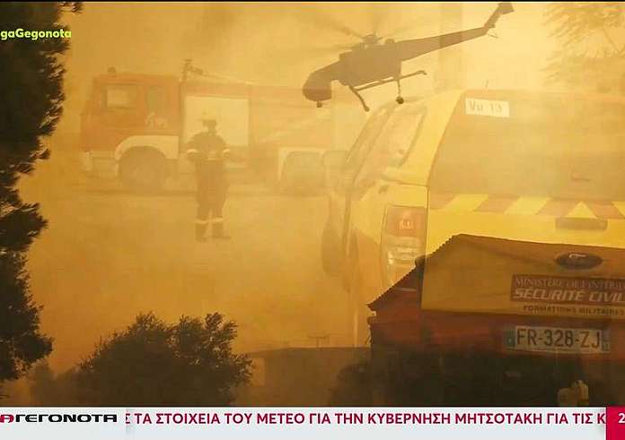 Φωτιές: Στάχτη 1. 250. 000 στρέμματα δάσους - Δύσκολος χειμώνας με πλημμύρες