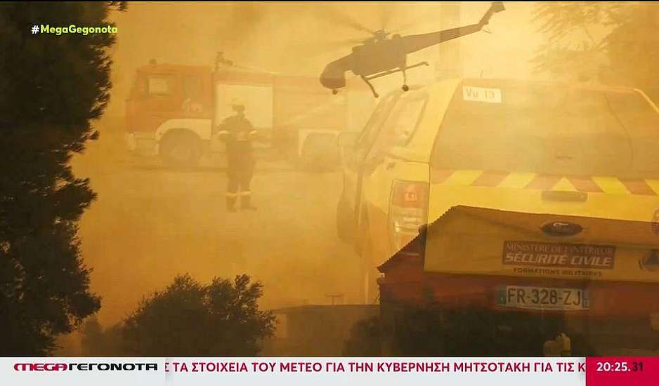 Φωτιές: Στάχτη 1. 250. 000 στρέμματα δάσους - Δύσκολος χειμώνας με πλημμύρες