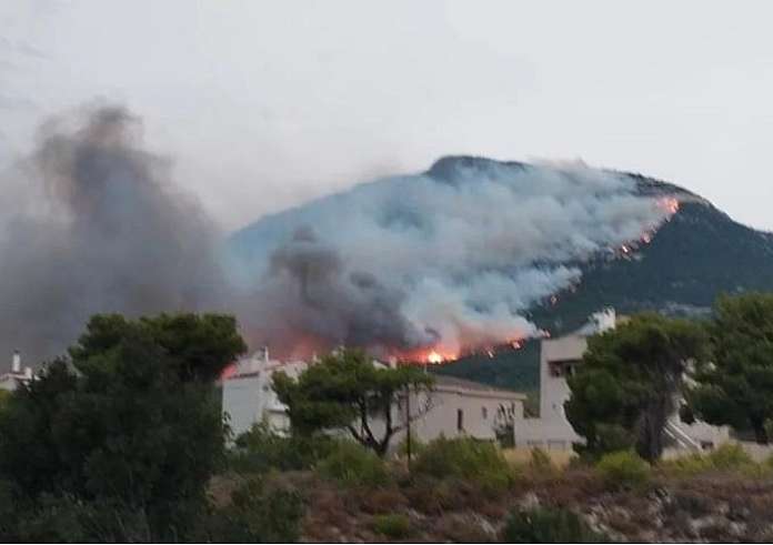 Οδοιπορικό στα καμένα της Πάρνηθας – Εικόνες βιβλικής καταστροφής