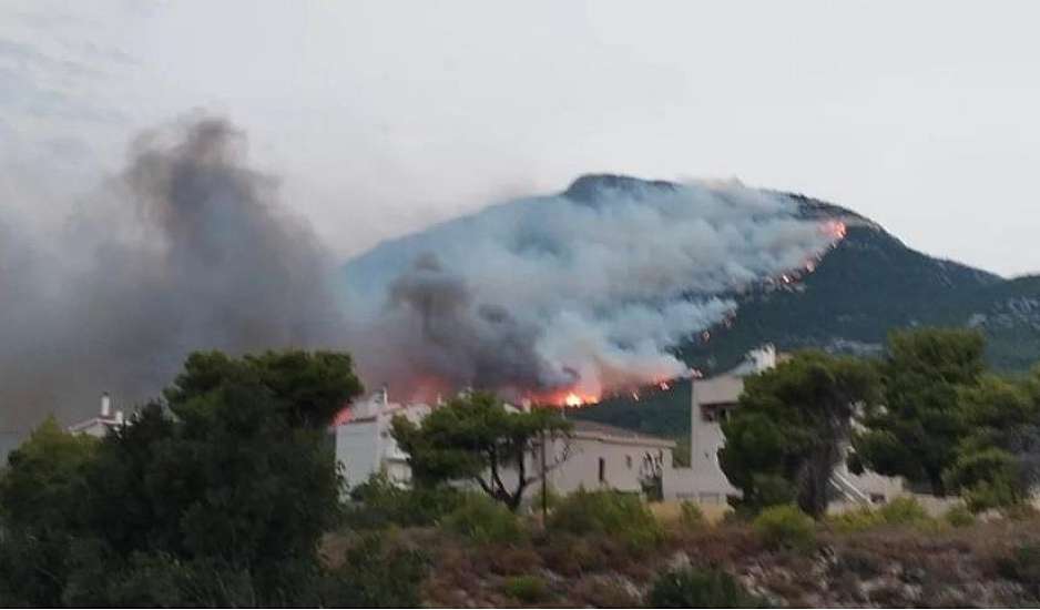 Οδοιπορικό στα καμένα της Πάρνηθας – Εικόνες βιβλικής καταστροφής