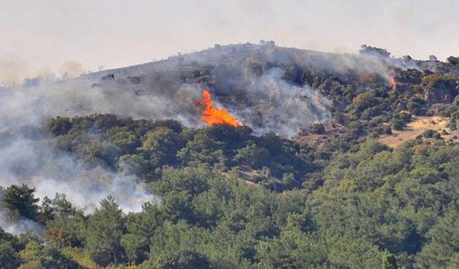 Έβρος: Πυρκαγιά σε δασική έκταση στα Λάβαρα Σουφλίου – Επιχειρούν και εναέρια μέσα