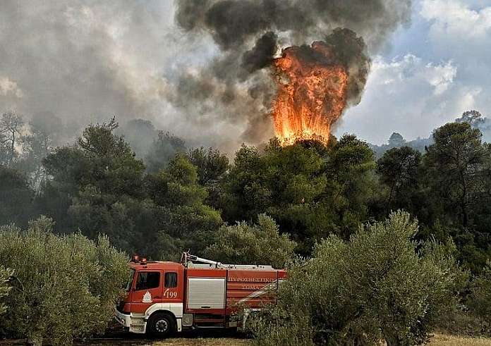 Αναζωπυρώσεις και εκκενώσεις οικισμών στον Έβρο - Οριοθετήθηκε η φωτιά στην Άνδρο