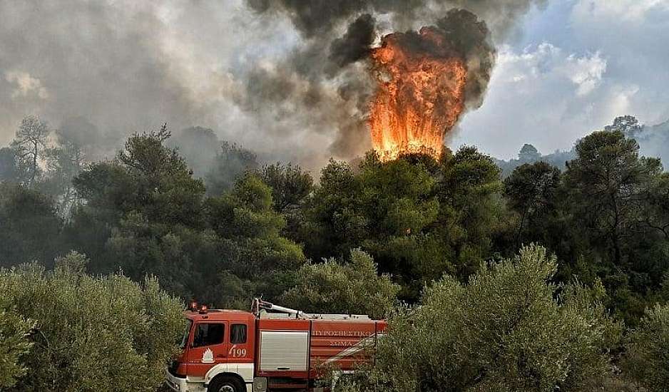 Αναζωπυρώσεις και εκκενώσεις οικισμών στον Έβρο - Οριοθετήθηκε η φωτιά στην Άνδρο