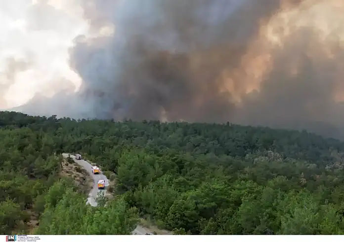 Φωτιά στον Έβρο: 15η μέρα μάχης με τις φλόγες