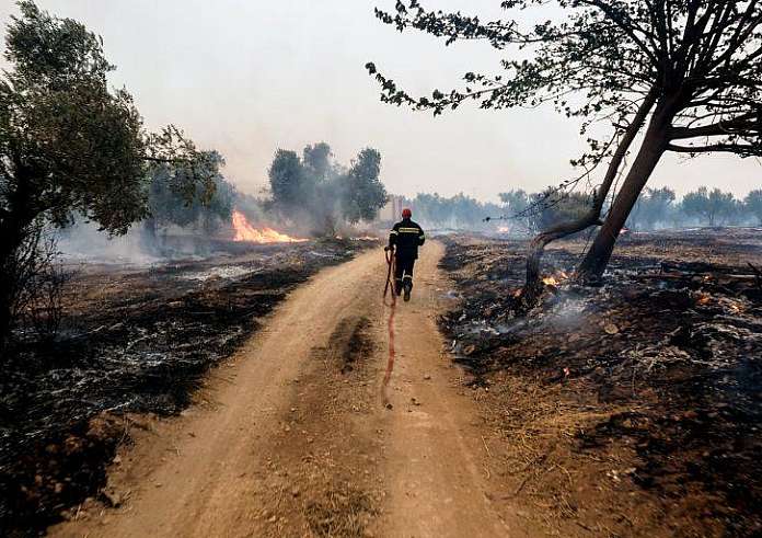 Φωτιά στη Βοιωτία: Απεγκλωβισμός 60 ατόμων από την παραλία Σαράντη