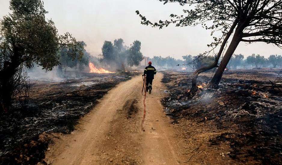 Φωτιά στη Βοιωτία: Απεγκλωβισμός 60 ατόμων από την παραλία Σαράντη