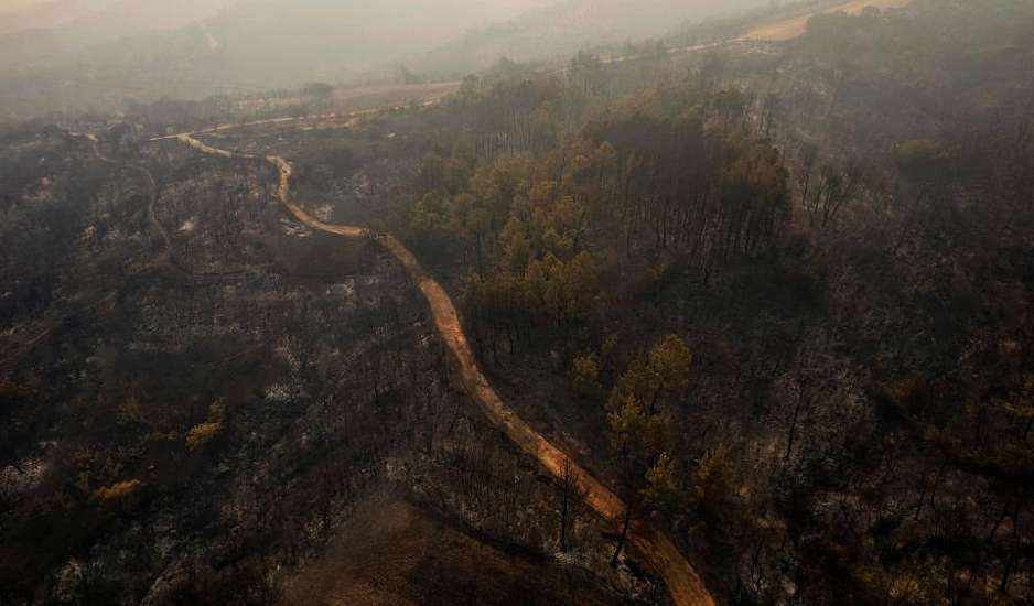 Φωτιές: Μάχη για να σωθεί το δάσος του Ελικώνα στη Βοιωτία, μαίνεται ο εφιάλτης στον Έβρο