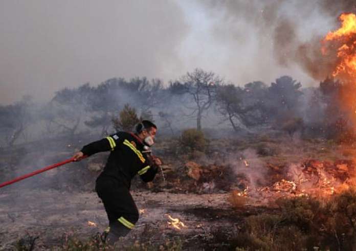 Φωτιά στην Ηλεία: Kράτηση του 65χρονου για απόπειρα εμπρησμού από πρόθεση διέταξε η εισαγγελέας
