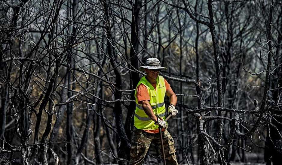 Κίνδυνος πλημμυρών λόγω των πυρκαγιών – Αγώνας δρόμου για τα κορμοδέματα