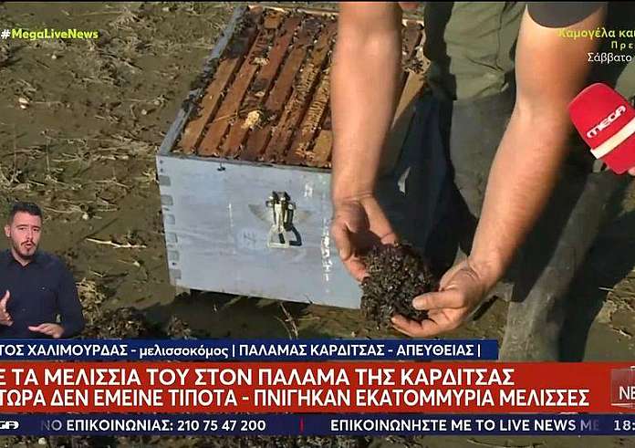 Καρδίτσα: Δεν έμεινε τίποτα από τα μελίσσια του – Πνίγηκαν εκατομμύρια μέλισσες