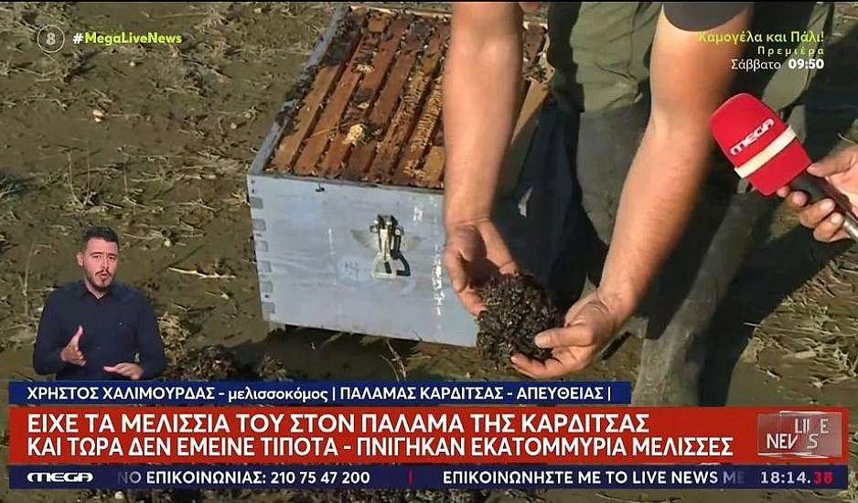 Καρδίτσα: Δεν έμεινε τίποτα από τα μελίσσια του – Πνίγηκαν εκατομμύρια μέλισσες