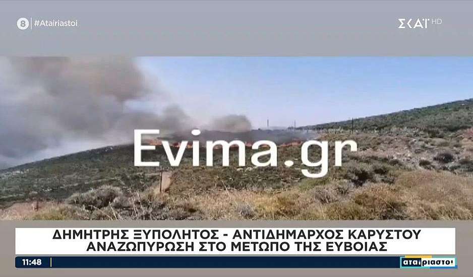 Φωτιά στην Κάρυστο: Αναζωπυρώσεις σε 2 εστίες – Πνέουν άνεμοι 6-7 μποφόρ