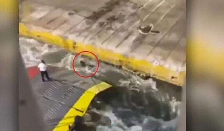 Αρχίζει η δίκη για τη δολοφονία του Αντώνη Καρυώτη – «Το βίντεο τα αποκαλύπτει όλα»