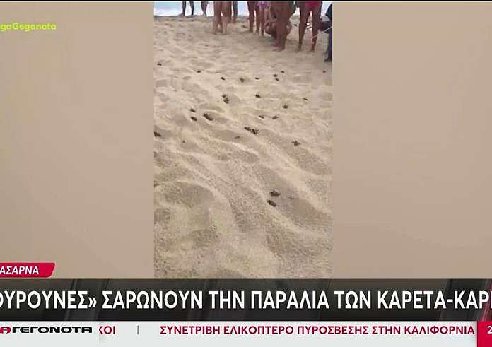 Kίνημα της πετσέτας: Ξαπλώστρες ακόμα και σε περιοχές NATURA