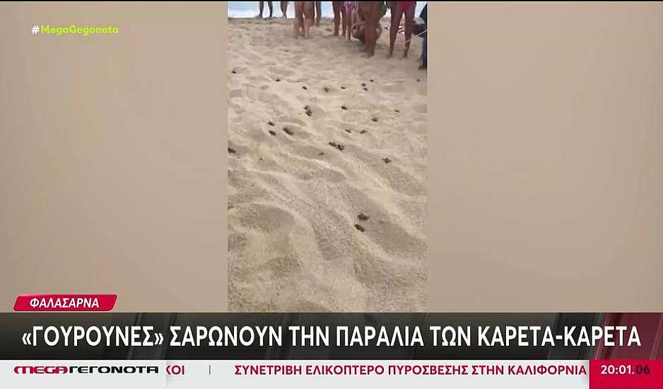 Kίνημα της πετσέτας: Ξαπλώστρες ακόμα και σε περιοχές NATURA