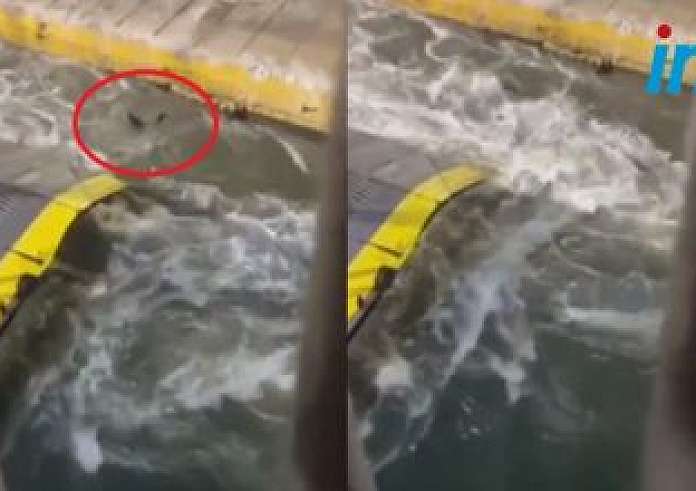 Προφυλακίστηκαν πλοίαρχος και ύπαρχος μετά τη δολοφονία στο Blue Horizon. Σοκάρουν τα ηχητικά ντοκουμέντα