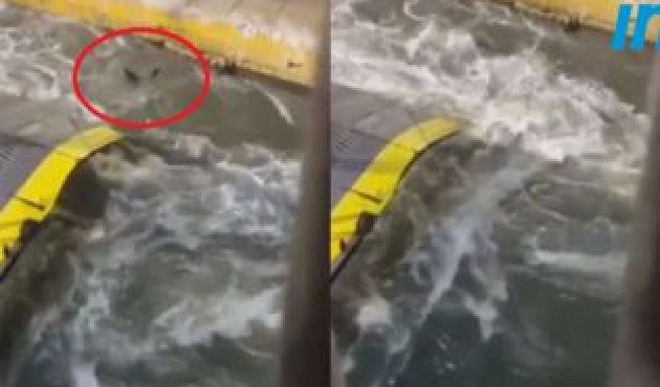 Προφυλακίστηκαν πλοίαρχος και ύπαρχος μετά τη δολοφονία στο Blue Horizon. Σοκάρουν τα ηχητικά ντοκουμέντα