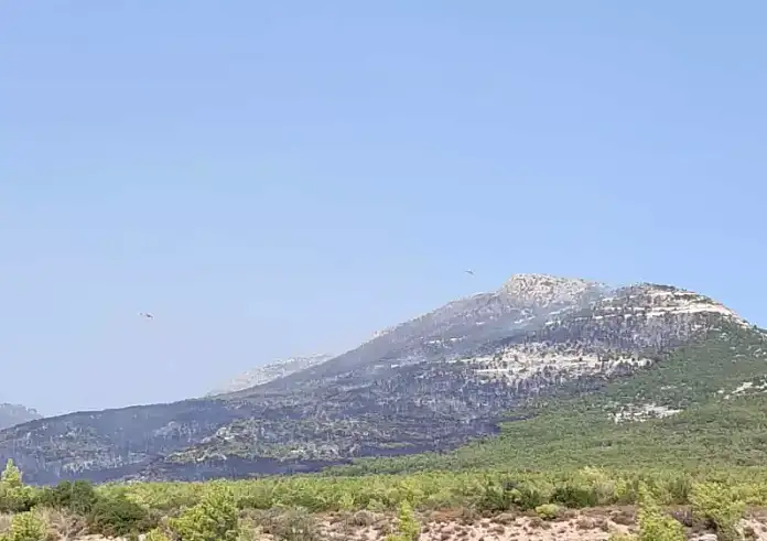 Φωτιά στην Πάρνηθα: Καλύτερη η εικόνα - Mάχη με τις αναζωπυρώσεις