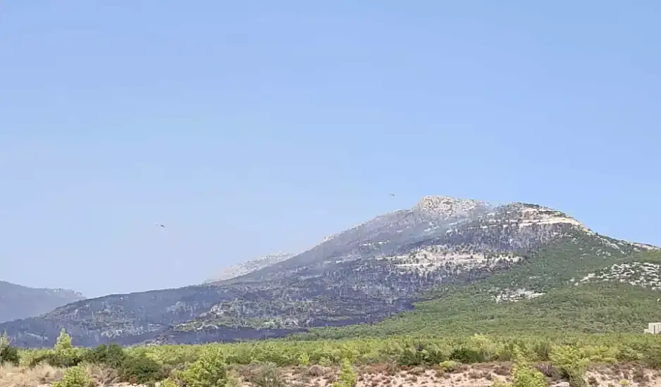 Φωτιά στην Πάρνηθα: Καλύτερη η εικόνα - Mάχη με τις αναζωπυρώσεις