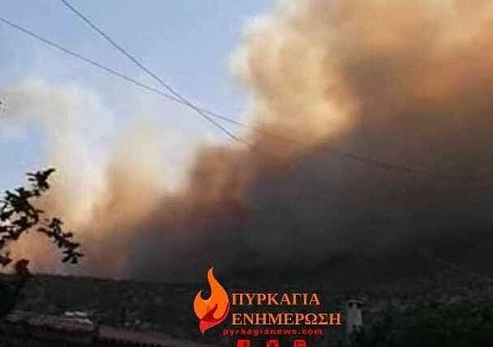 Φωτιά στη Βοιωτία: Νεκρός βοσκός που πήγε να σώσει τα ζώα του από τις φλόγες