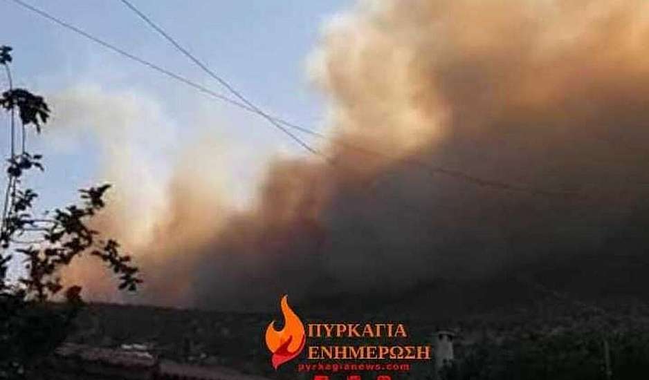 Φωτιά στη Βοιωτία: Νεκρός βοσκός που πήγε να σώσει τα ζώα του από τις φλόγες
